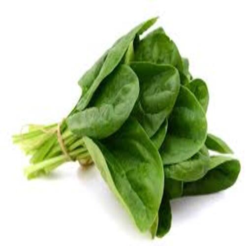 No Artificial Flavour Pesticide Free Natural and Healthy Green Fresh Spinach