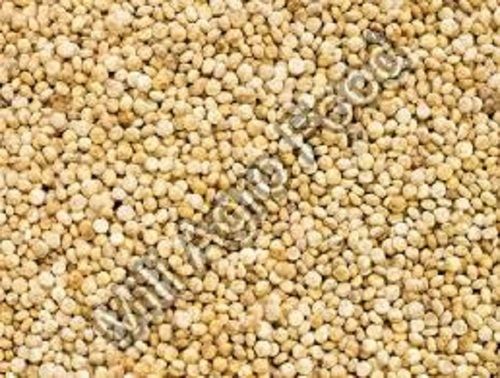 Organic Natural Dried Quinoa Seeds