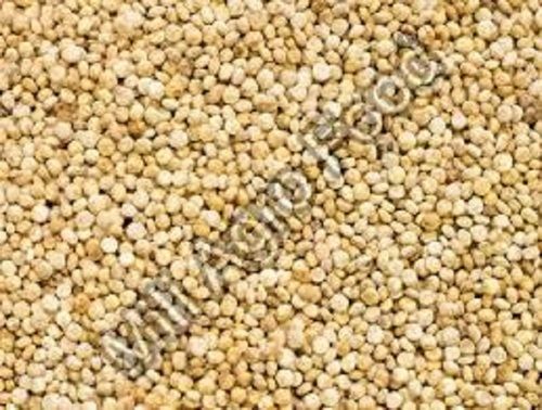 Brown Organic Natural Dried Quinoa Seeds