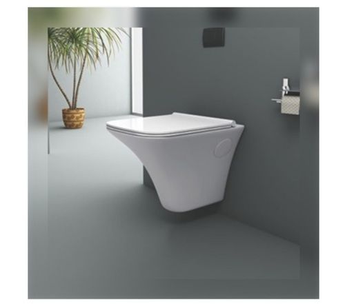 Radius Toilet Seat With Dual Flush