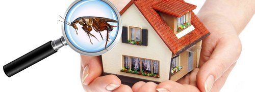 Residential Pest Control Service By MVN FACILITY MANAGEMENT SERVICES