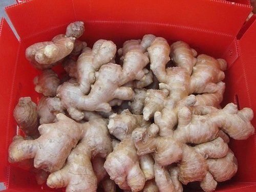 Chemical Free Dried Ginger