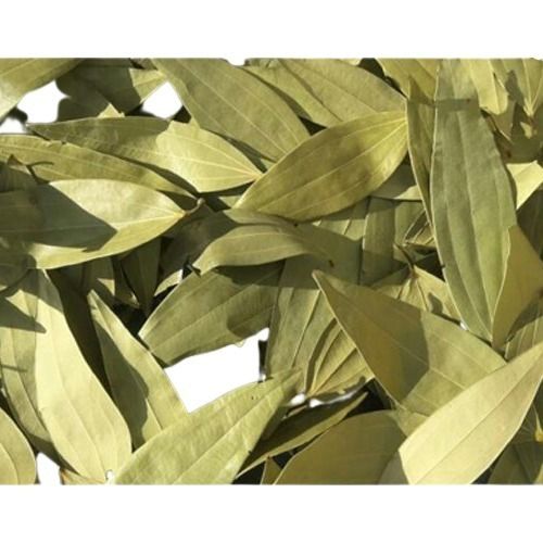 Excellence Quality Rich In Fragrance And Taste Sorted Clean Natural Dried Indian Organic Big Size Bay Leaf