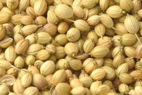 Brown Coriander Seeds For Fighting Wrinkles