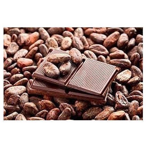 Delicious Taste Roasted Cocoa Beans