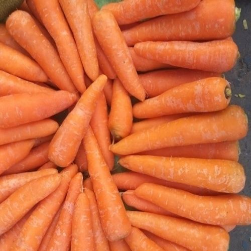 Improves Vision Purity 100% Natural Taste Healthy Red Fresh Carrot