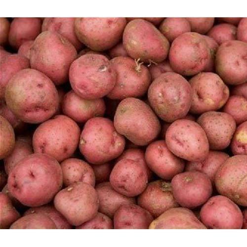 Any Lr Fresh Organic Pesticide Free Potato