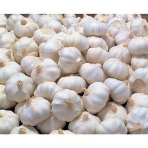 Seasoned Moisture Proof White Garlic