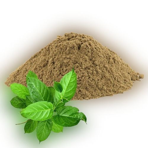 Multi Health Issues Solver Pure Organic And Clean Indian Gymnema Sylvestre Leaves