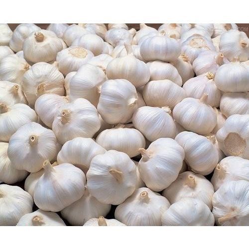 Natural and Healthy Sizes 4.5-5.0 cm Organic White Fresh Garlic