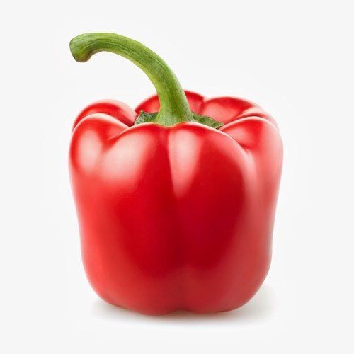 Natural Taste And Healthy Organic Fresh Red Capsicum Packed In Plastic Bags Shelf Life: 1-3 Days