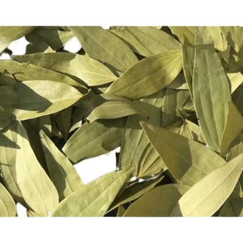 Naturally Sorted Big Size Clean And Pure Organic A Grade Greenish Bay Leaf