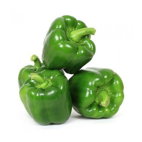 Organic Natural Taste And Healthy Fresh Green Capsicum Packed In Plastic Bags Shelf Life: 5-10 Days