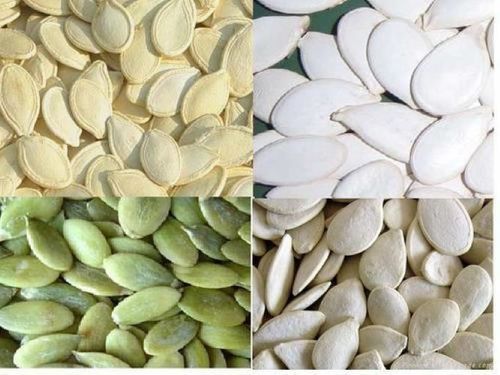 Organic White Pumpkin Seeds For Postmenopausal Women