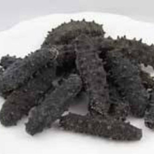 Natural And Healthy Sea Cucumber