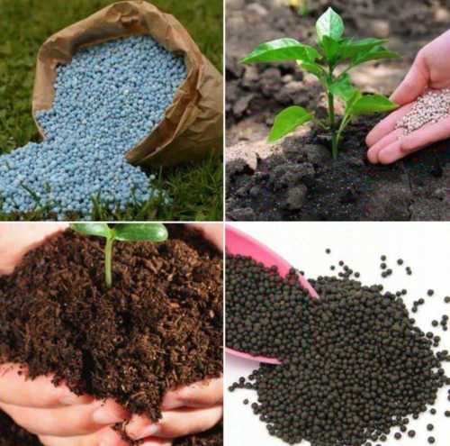 Plant Fertilizer Granules For Agriculture