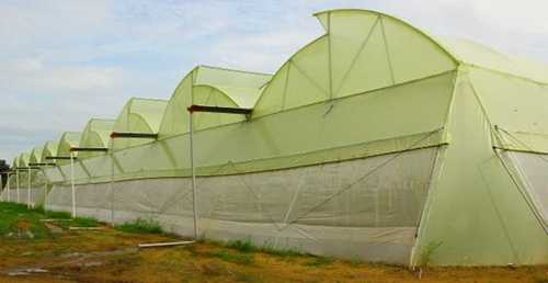 Yellow Color Agricultural Polyhouse