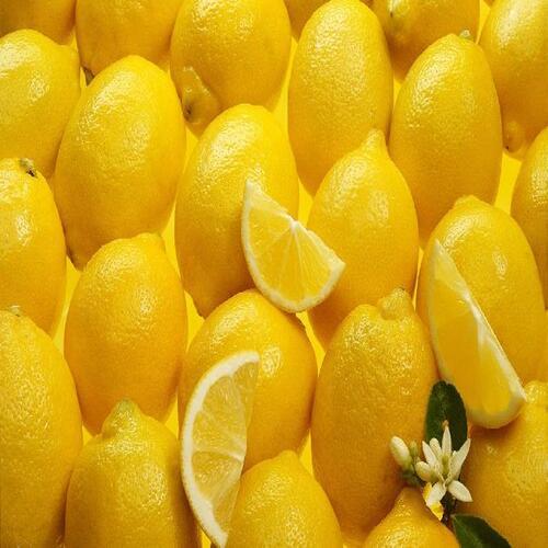 Easy To Digest Sour Taste Healthy and Natural Yellow Fresh Lemon