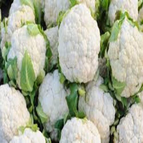 Floury Texture Good In Taste Healthy Natural Fresh Cauliflower Shelf Life: 0-5 Days