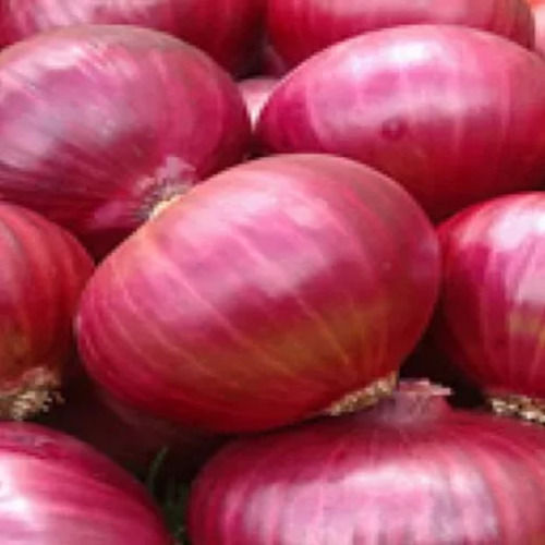 Magnesium 15 mg Vitamin B-6 5% Iron 0.3 mg Healthy and Natural Fresh Red Onion