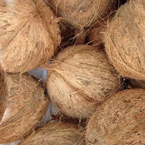 Potassium Per 356 Mg 10% Dietary Fiber Per 9 G 36% Iron Per 100g 13% Magnesium Per 100g 8% Brown Fresh Husked Coconut