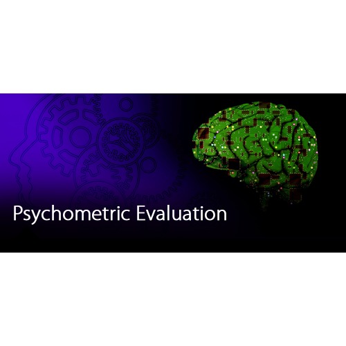 Psychometric Testing Software Development Service By Krishna Software