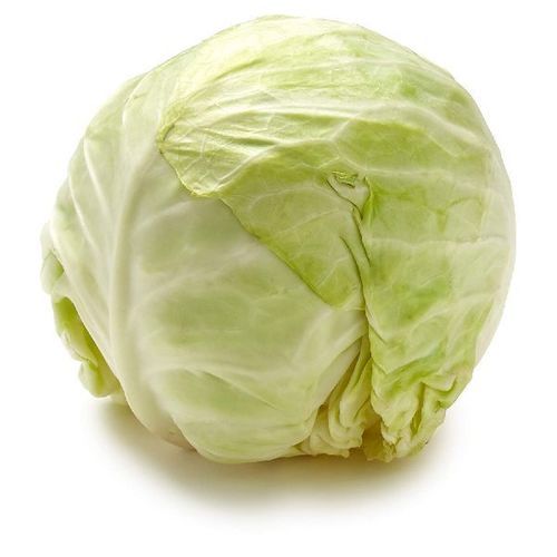 Vitamin A 1% Vitamin C 60% Iron 2% Calcium 4% Healthy Natural Green Fresh Cabbage