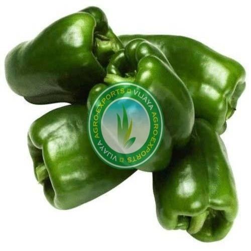 FSSAI Certified Healthy and Natural Green Fresh Capsicum