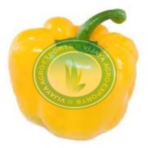 FSSAI Certified Maturity 100% Healthy Organic Fresh Yellow Capsicum
