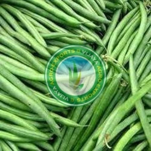 Good Natural Taste Healthy Organic Fresh Green Beans Grade: Food Grade