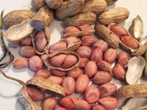 Ground Nut (Moong Phali)