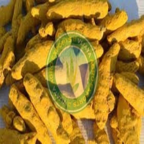 Natural Taste and Healthy Dried Yellow Turmeric Finger