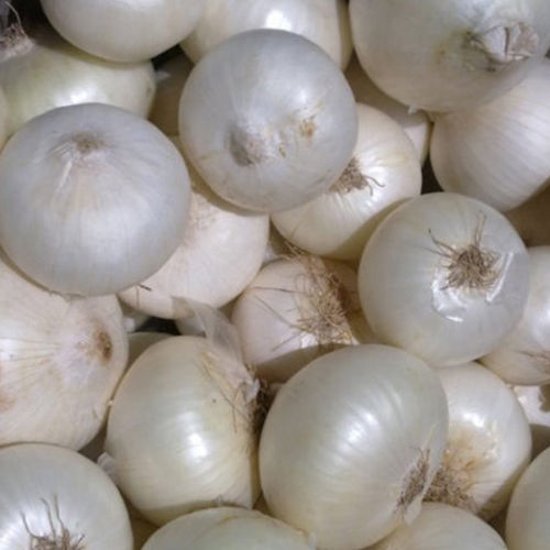 White Onion