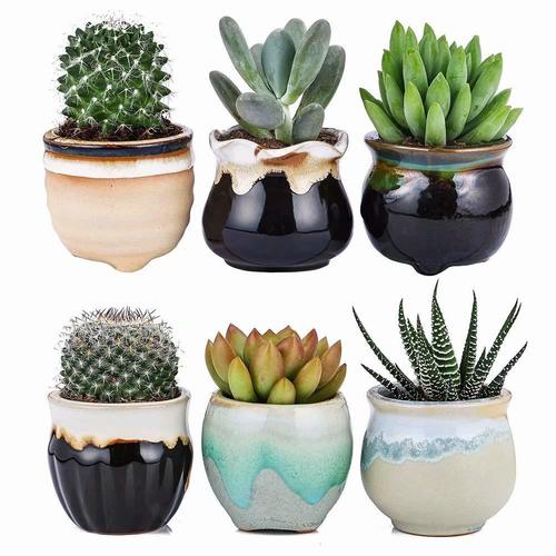 Fancy Indoor Decor Ceremic Flower Pots