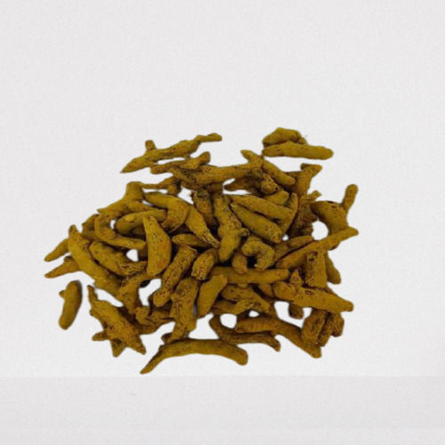 Healthy and Natural Air Dried Yellow Turmeric for Cooking