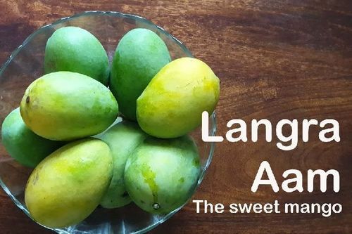 High Nutritive Value No Preservatives Sweet Healthy Natural Fresh Green Langra Mango