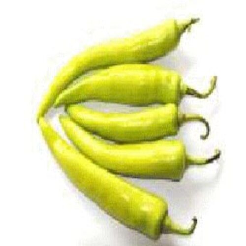 Hygienically Packed Organic Fresh Green Chilli with Pack Size 5-20kg