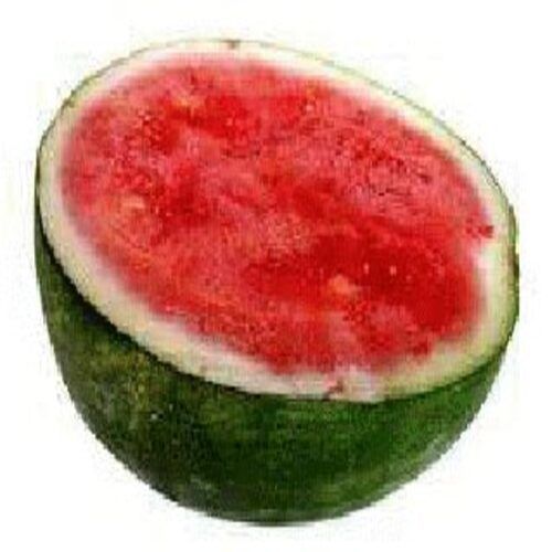 Maturity 100% Good Taste Healthy and Natural Organic Green Fresh Watermelon 