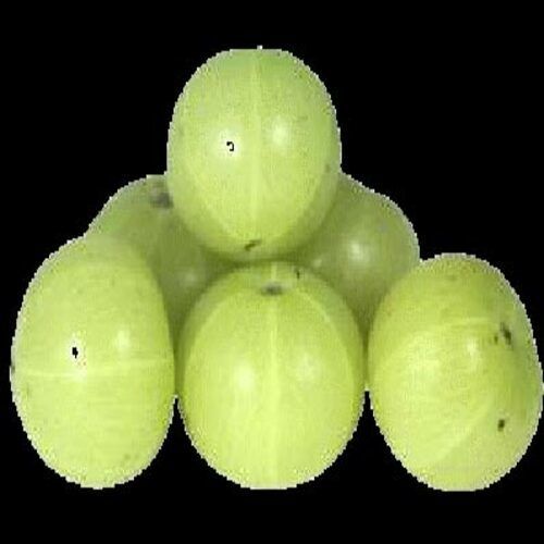 Natural Taste Healthy Hygienically Processed Organic Green Fresh Gooseberry