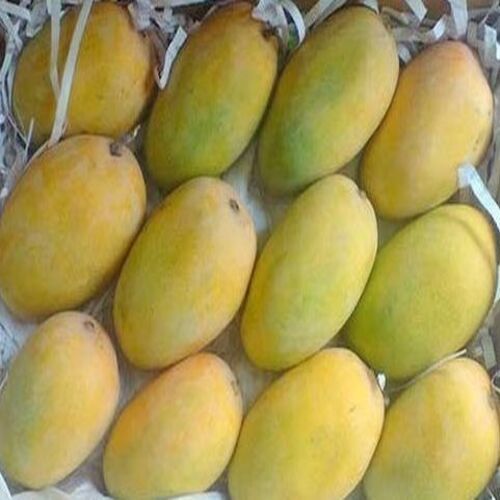 Protein 0.8 g Vitamin C 60% Calcium 1% Dietary Fiber 1.6 G Natural Healthy Yellow Kesar Mango
