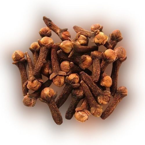 Pure Natural Organic Indian Big Size And Hot And Spicy Precisely Sorted A Grade Cloves