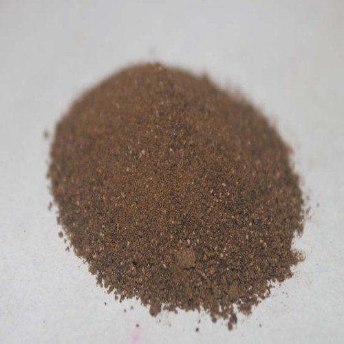Alpinia Galangal Rhizome Extract Powder