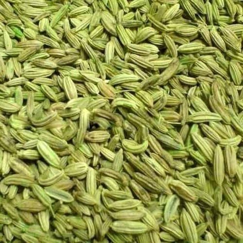 Green Clean And Big Size Harvested And Field Fresh Sorted Pure Indian Organic Sweet Whole Fennel Seed Spice