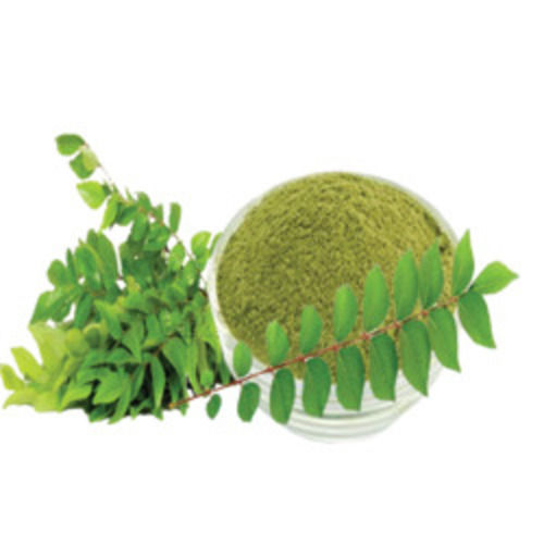 Natural Taste Healthy Green Dehydrated Curry Leaves Powder