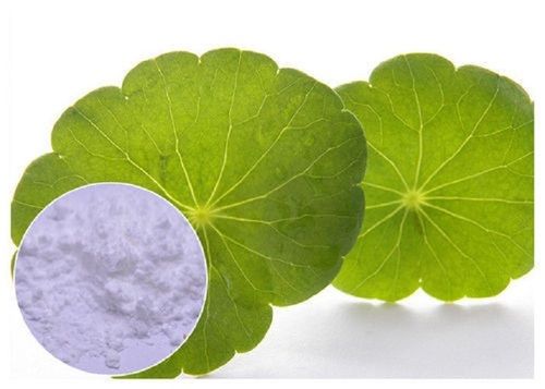 Centella Asiatica Extract Dried 100% Natural Powder (White) Usage: Memory Enhancer