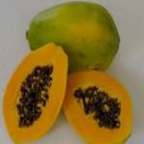 Easy To Digest Healthy Natural Taste Green and Yellow Fresh Papaya