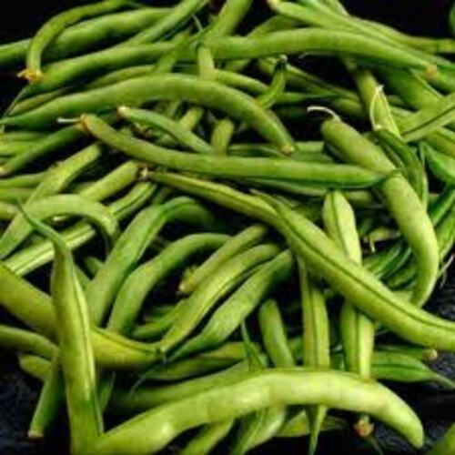Good Natural Taste Healthy Fresh Green Beans for Cooking