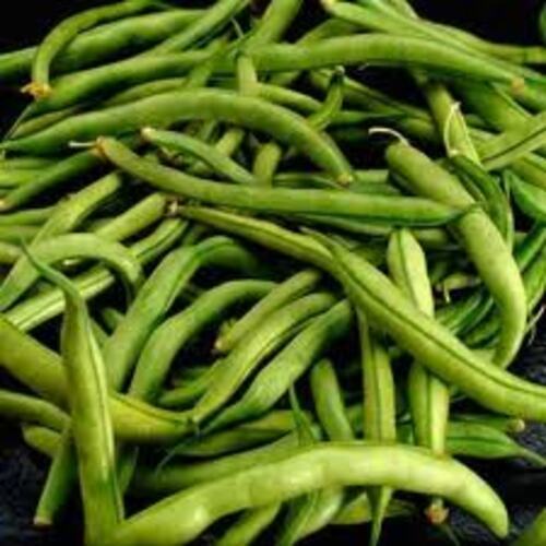 Good Natural Taste Healthy Fresh Green Beans For Cooking Grade: Food Grade