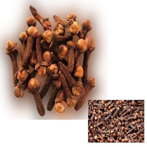 Long Size Naturally Organic A Grade Super Quality Indian Reddish Brown Pure Cloves