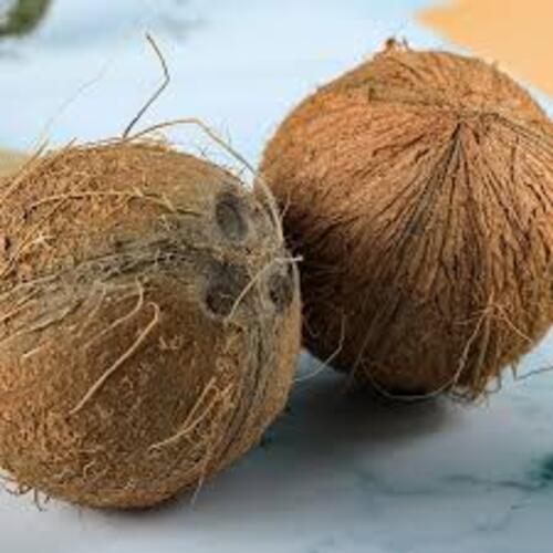 Organic Healthy And Natural Taste Brown Fully Husked Coconut